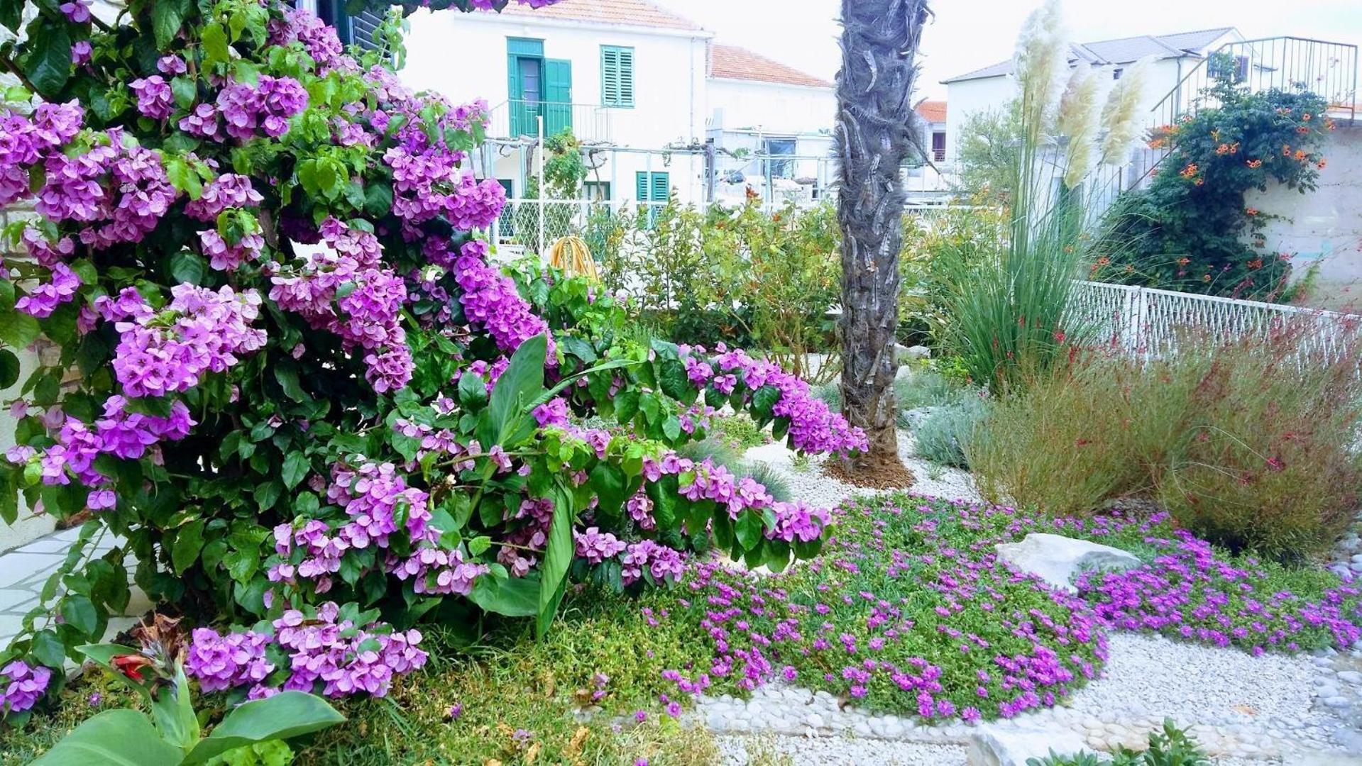 Apartments Mateo - 60M From Sea Primošten Exterior foto